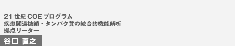 21ICOEvO@֘AE^pN̓I@\́@_[_[JV